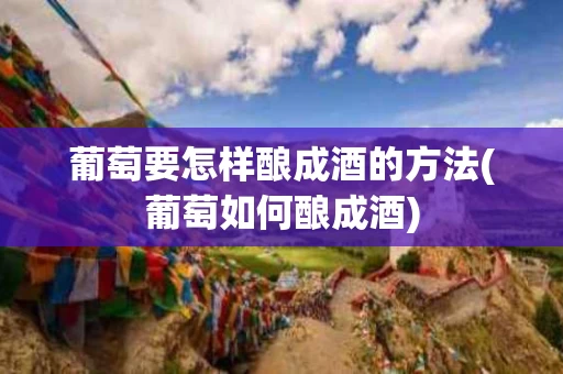 葡萄要怎样酿成酒的方法(葡萄如何酿成酒)