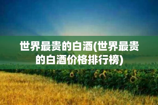 世界最贵的白酒(世界最贵的白酒价格排行榜)