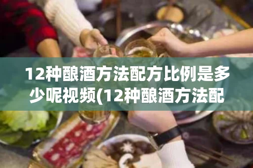 12种酿酒方法配方比例是多少呢视频(12种酿酒方法配方比例是多少呢视频教程)