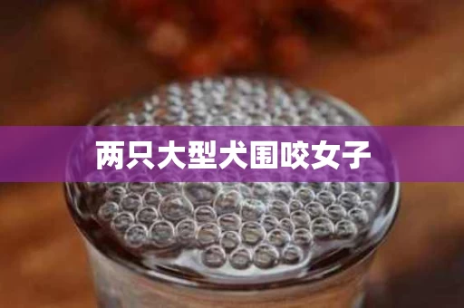 两只大型犬围咬女子