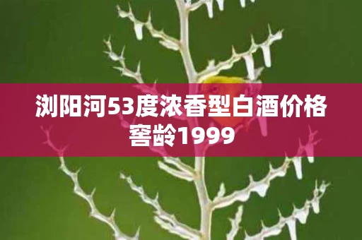 浏阳河53度浓香型白酒价格窖龄1999
