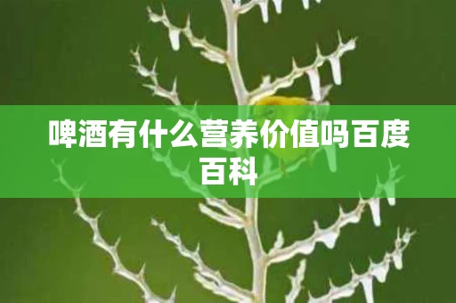 啤酒有什么营养价值吗百度百科