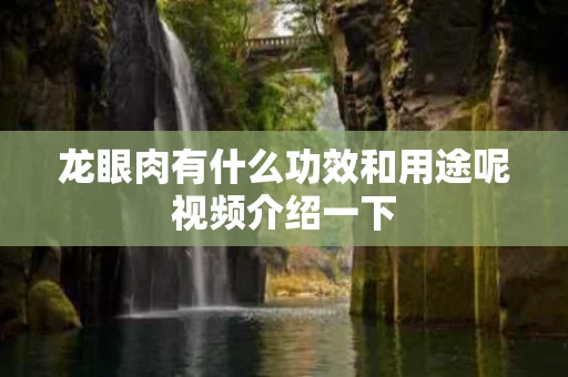 龙眼肉有什么功效和用途呢视频介绍一下