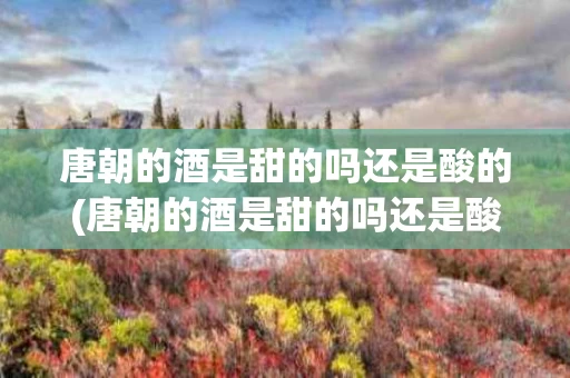唐朝的酒是甜的吗还是酸的(唐朝的酒是甜的吗还是酸的呢)