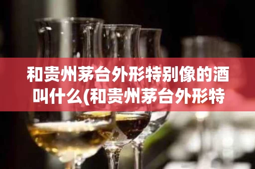 和贵州茅台外形特别像的酒叫什么(和贵州茅台外形特别像的酒叫什么名字)
