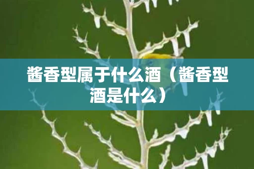 酱香型属于什么酒（酱香型酒是什么）