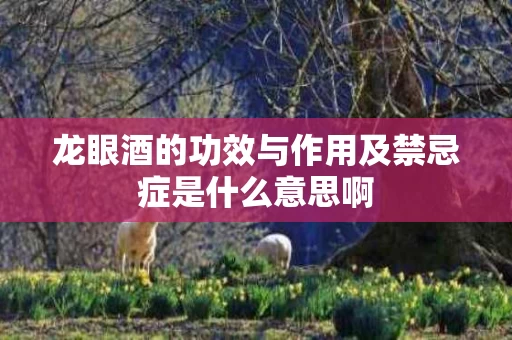 龙眼酒的功效与作用及禁忌症是什么意思啊