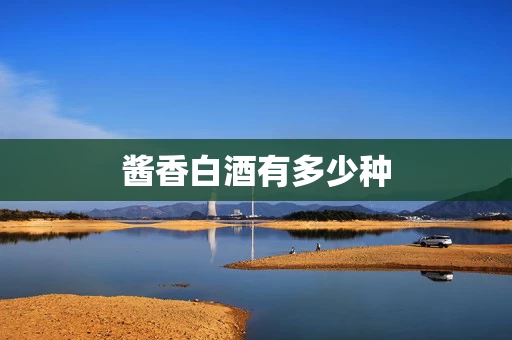 酱香白酒有多少种