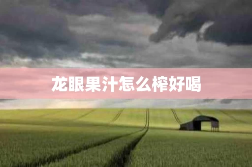 龙眼果汁怎么榨好喝