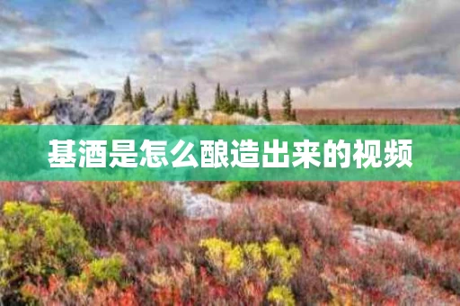基酒是怎么酿造出来的视频 基酒是怎么酿造出来的视频