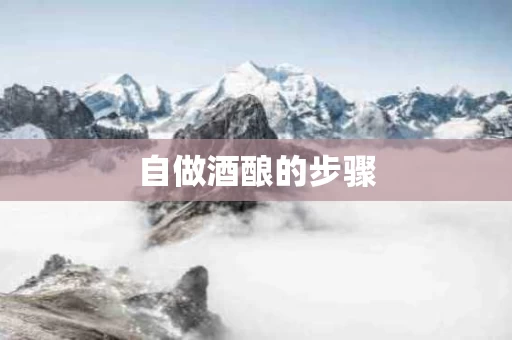 自做酒酿的步骤