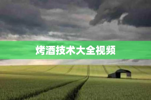 烤酒技术大全视频