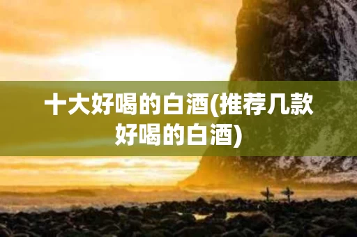 十大好喝的白酒(推荐几款好喝的白酒)
