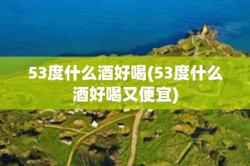 53度什么酒好喝(53度什么酒好喝又便宜)