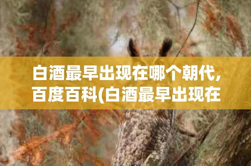 白酒最早出现在哪个朝代,百度百科(白酒最早出现在哪个朝代,百度百科上)