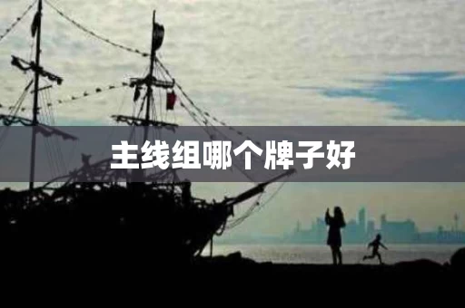 主线组哪个牌子好