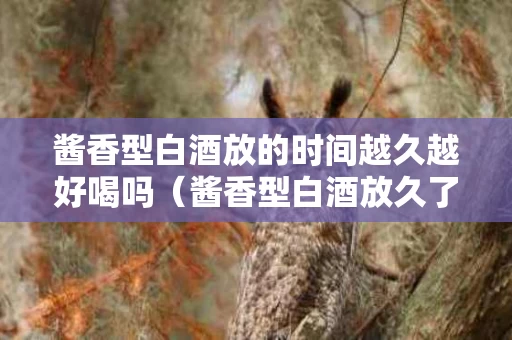 酱香型白酒放的时间越久越好喝吗（酱香型白酒放久了好吗）
