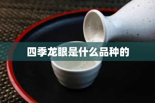 四季龙眼是什么品种的
