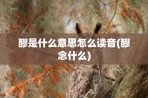 醪是什么意思怎么读音(醪念什么)