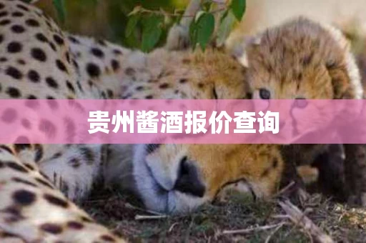 贵州酱酒报价查询