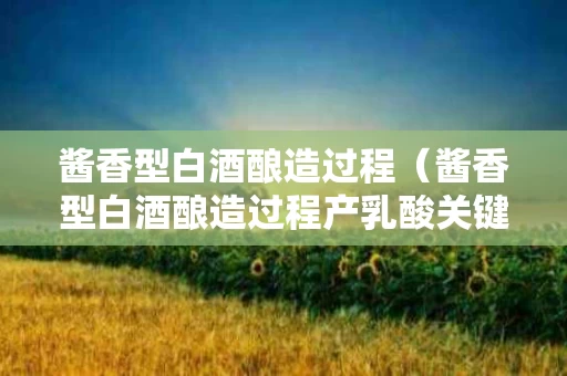 酱香型白酒酿造过程（酱香型白酒酿造过程产乳酸关键微生物是植物乳杆菌）