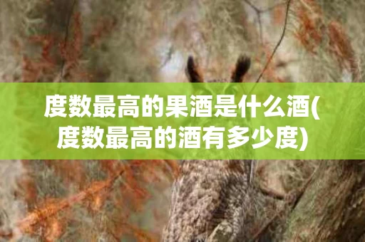 度数最高的果酒是什么酒(度数最高的酒有多少度)