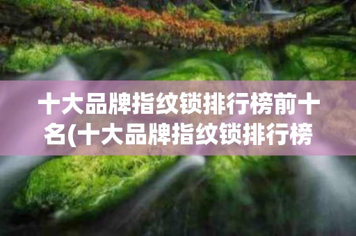 十大品牌指纹锁排行榜前十名(十大品牌指纹锁排行榜前十名图片)