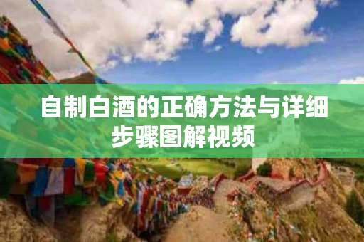 自制白酒的正确方法与详细步骤图解视频