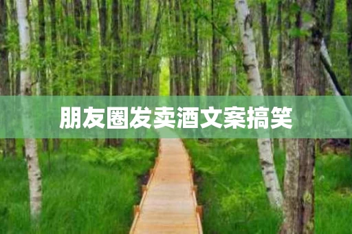 朋友圈发卖酒文案搞笑