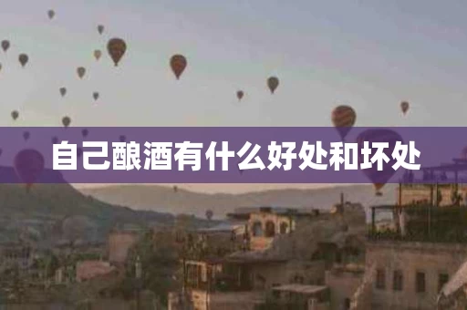 自己酿酒有什么好处和坏处