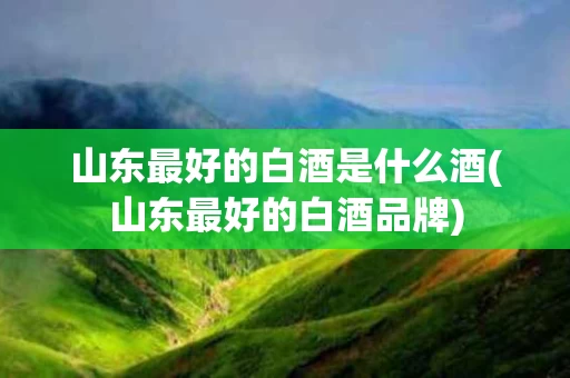 山东最好的白酒是什么酒(山东最好的白酒品牌)