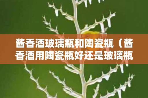 酱香酒玻璃瓶和陶瓷瓶（酱香酒用陶瓷瓶好还是玻璃瓶好）