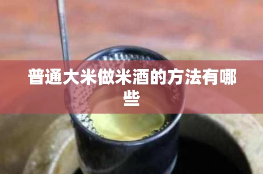 普通大米做米酒的方法有哪些