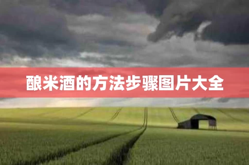 酿米酒的方法步骤图片大全