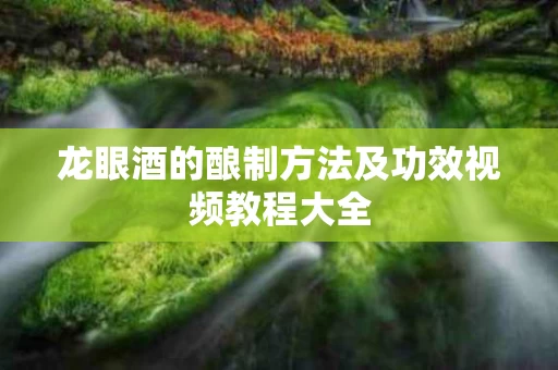 龙眼酒的酿制方法及功效视频教程大全