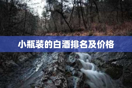 小瓶装的白酒排名及价格