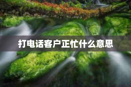 打电话客户正忙什么意思