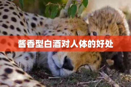 酱香型白酒对人体的好处