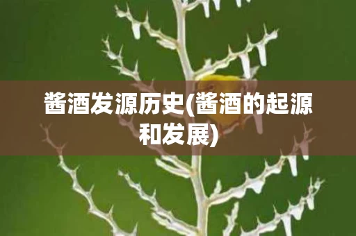 酱酒发源历史(酱酒的起源和发展)