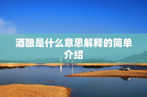 酒酿是什么意思解释的简单介绍