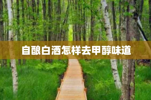 自酿白洒怎样去甲醇味道