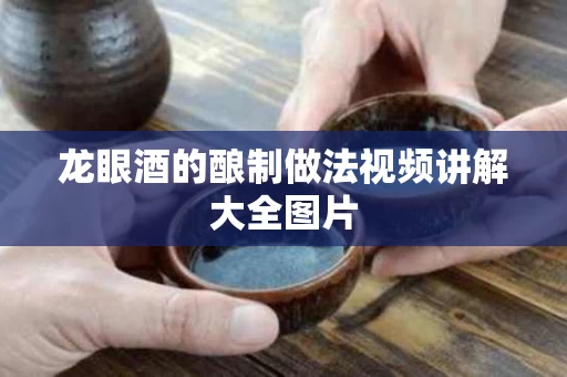 龙眼酒的酿制做法视频讲解大全图片