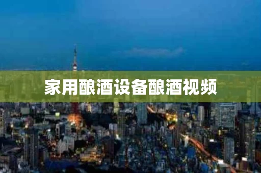 家用酿酒设备酿酒视频