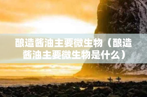 酿造酱油主要微生物（酿造酱油主要微生物是什么）