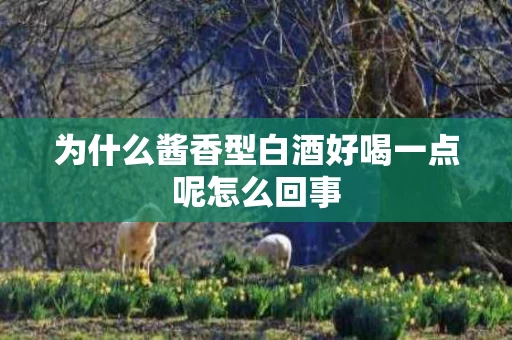 为什么酱香型白酒好喝一点呢怎么回事