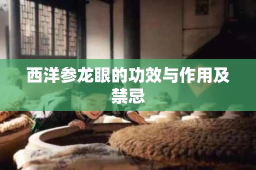 西洋参龙眼的功效与作用及禁忌