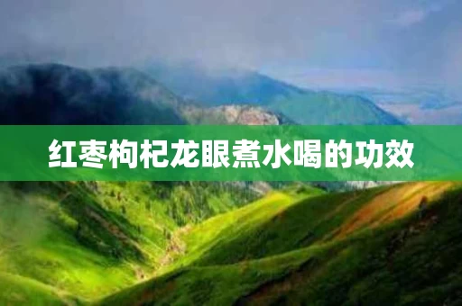 红枣枸杞龙眼煮水喝的功效 红枣枸杞龙眼煮水喝的功效