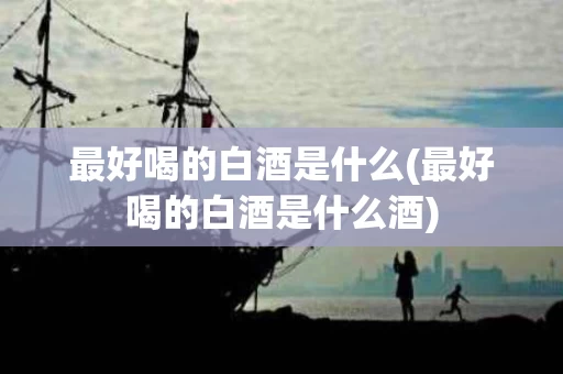 最好喝的白酒是什么(最好喝的白酒是什么酒)
