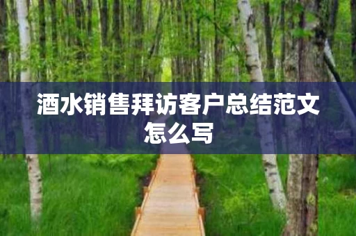 酒水销售拜访客户总结范文怎么写