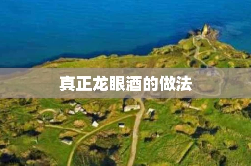 真正龙眼酒的做法